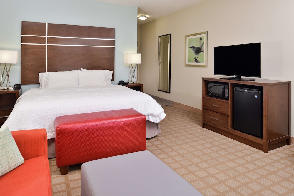 Hampton Inn & Suites Hutto Austin - photo 19
