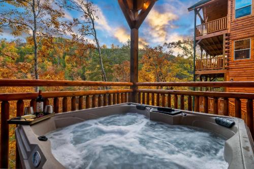 Bearly Splashed - carbon neutral hotel in Sevierville