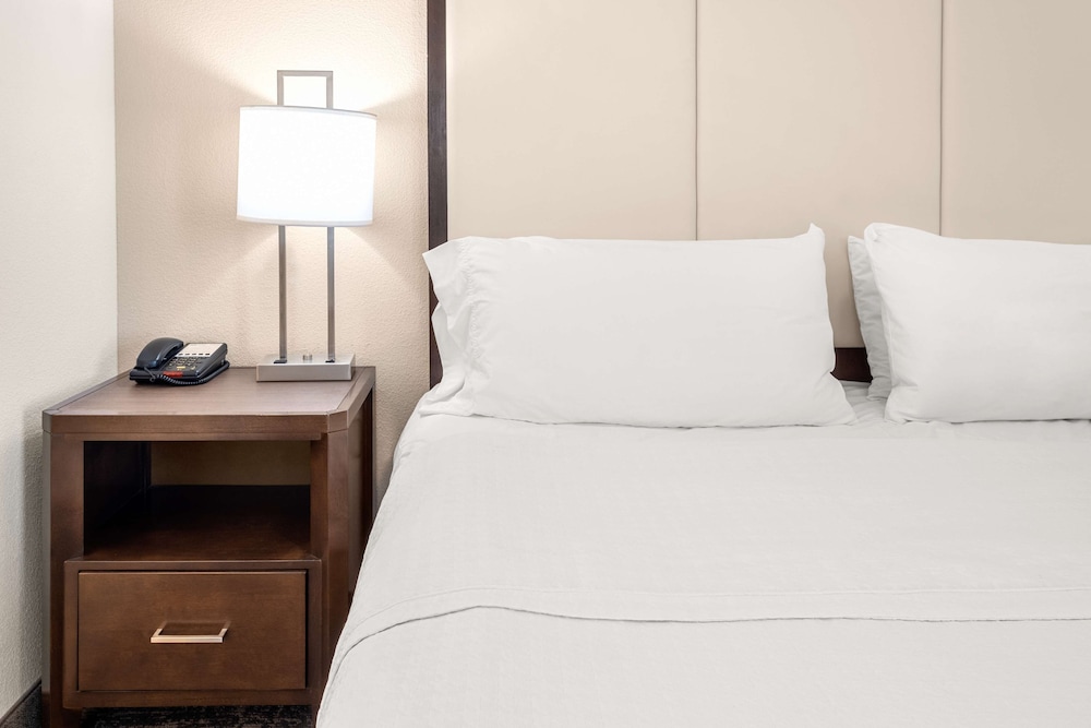 Homewood Suites by Hilton San Marcos - photo 11