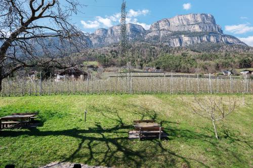 Regalterhof Eppan — San Paolo — photo 5