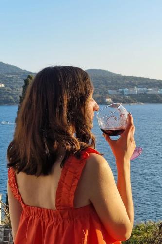 Apartment Ana Lozica with terrace
