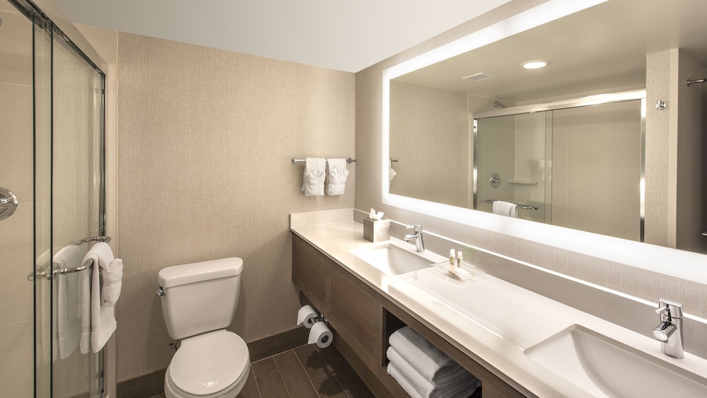 Holiday Inn Denver Lakewood by IHG - photo 22