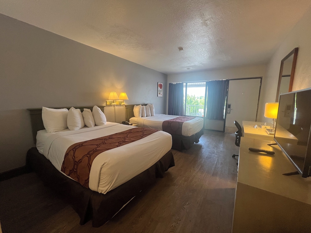 Garden Inn Homestead - photo 10