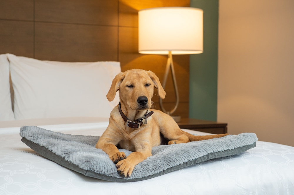 Staybridge Suites Hillsboro North by IHG - photo 26