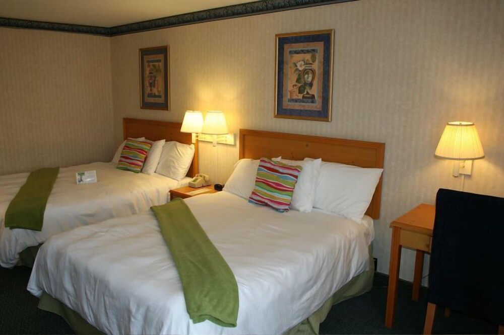 Bay Inn and Suites at Seaworld - photo 5