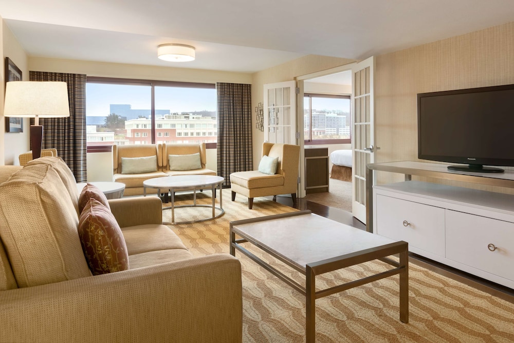 Embassy Suites by Hilton Boston Waltham - photo 31