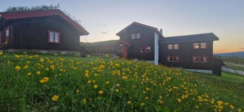 Skotten Seter Bed & Husky in Ringebu, Norway