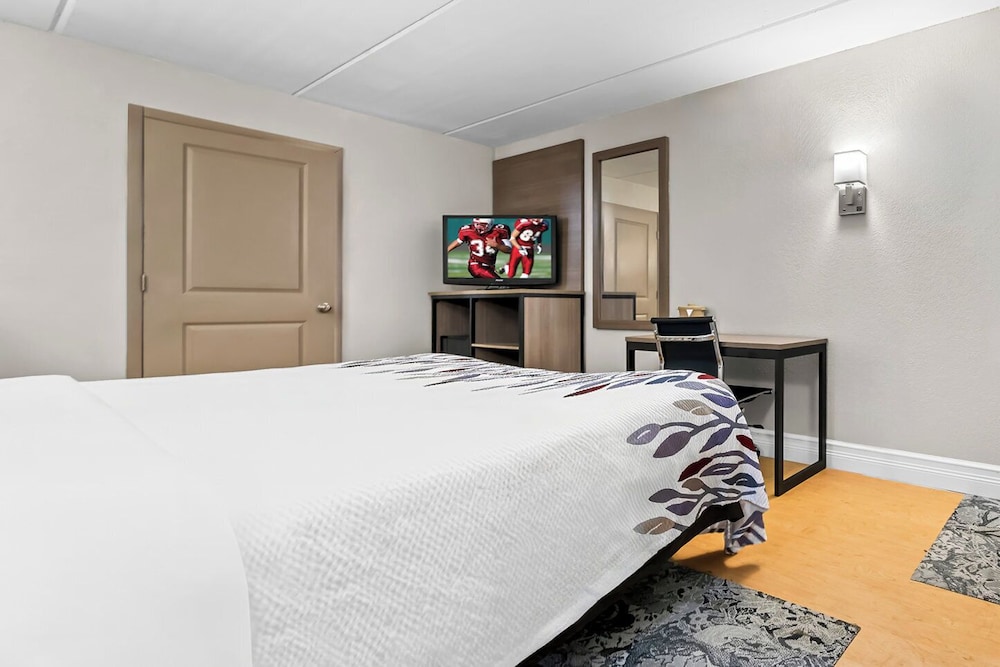 Red Roof Inn Tampa Fairgrounds Casino - photo 15