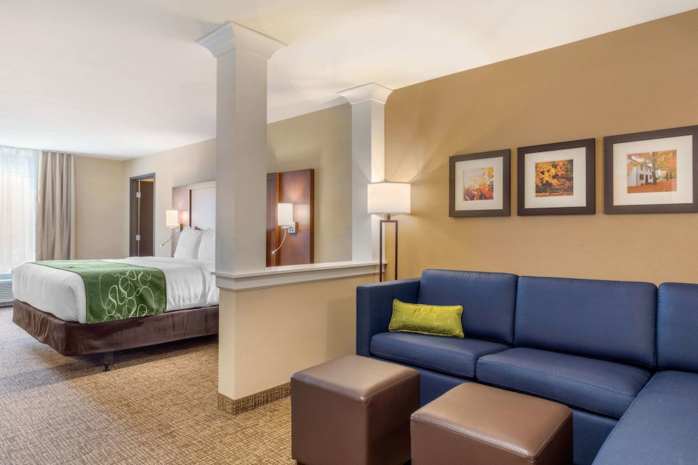 Comfort Inn & Suites Schenectady Scotia - photo 23