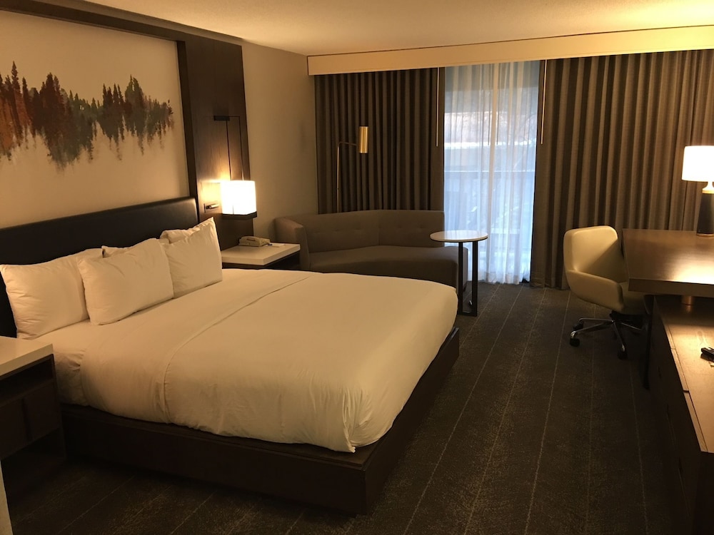 Hilton Peachtree City Atlanta Hotel & Conference Center - photo 9