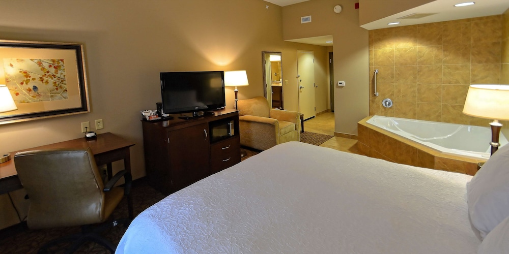Hampton Inn Geneseo - photo 10