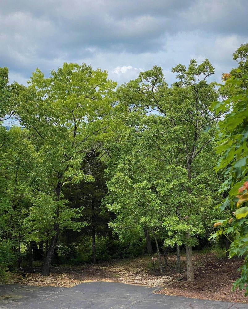 The Park at Foxborough Resort - photo 35