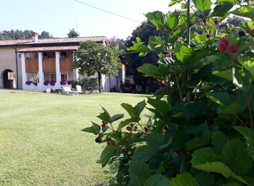 Agriturismo la Scala — 4-Star Luxury Hotel in Salo, Italy