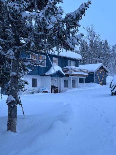 House with charm valley with lots of northern lights Breivikeidet — 4-Star Luxury Hotel in Tromso, Norway