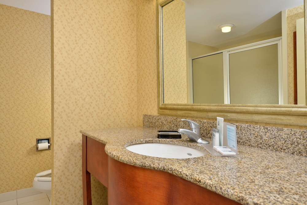 Hampton Inn Farmville VA - photo 27