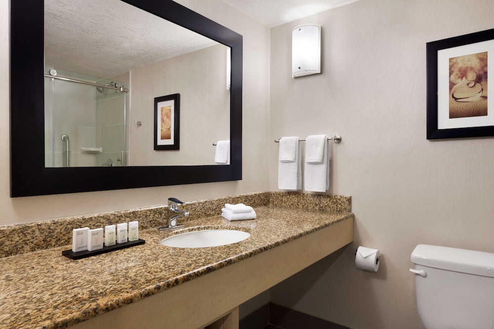 Embassy Suites by Hilton Convention Center Las Vegas - photo 43