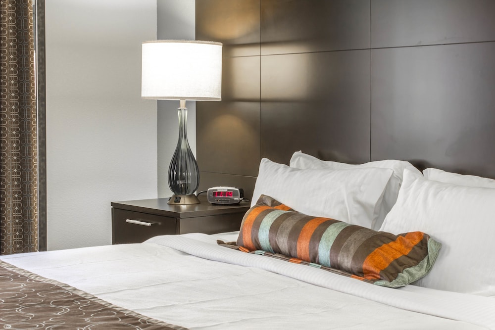 Staybridge Suites Jacksonville Camp Lejeune Area an IHG Hotel - photo 14