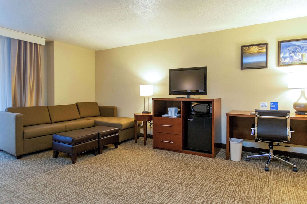 Comfort Inn Salt Lake City Downtown - photo 42