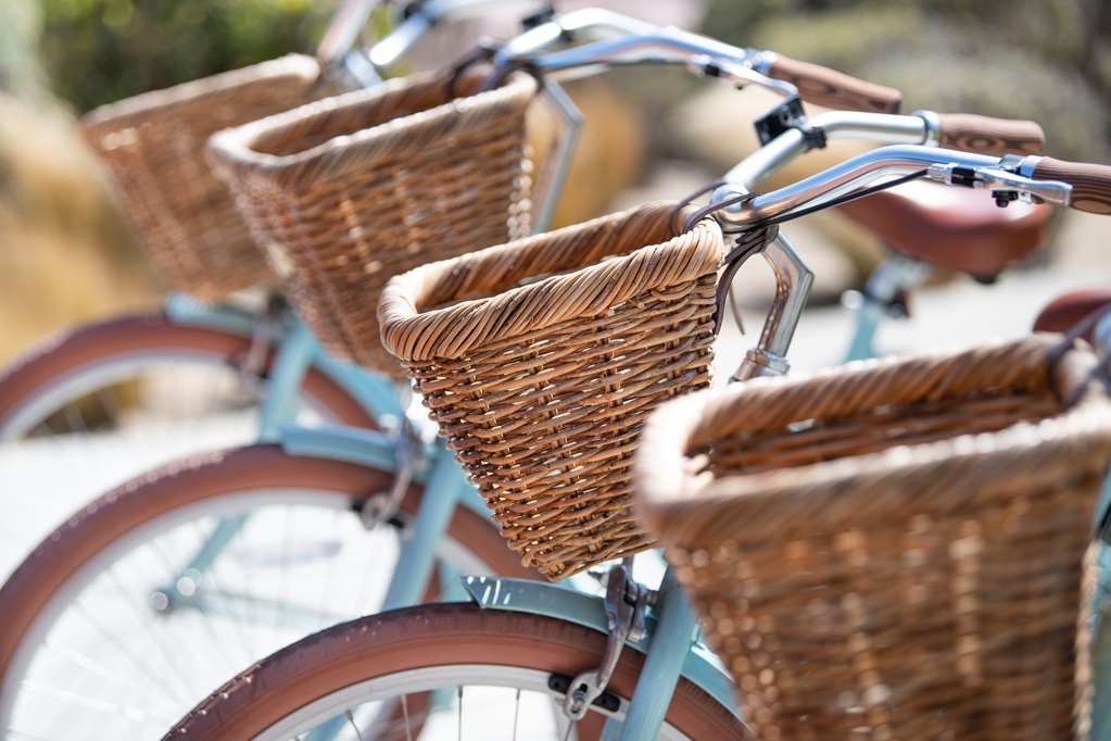 Sanctuary Beach Resort - photo 5