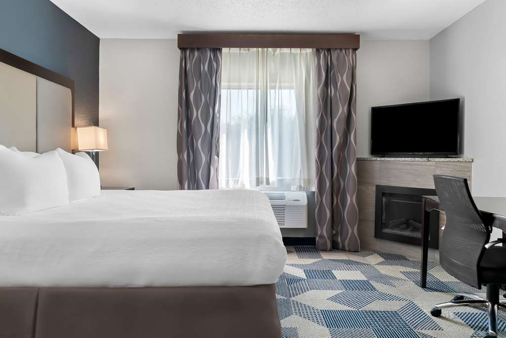 Best Western Plus Flint Airport Inn & Suites - photo 11