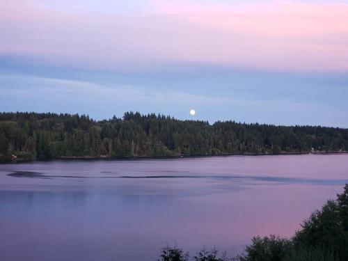 Waterfront Retreat with a sauna Pets OK in Arcadia, United States