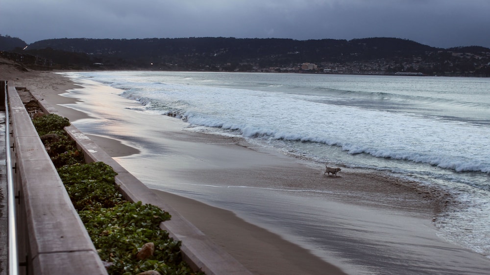 Monterey Beach Hotel A Tribute Portfolio Hotel - photo 55