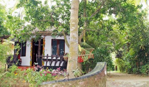 Big Banana Island Retreat — Cochin — photo 2