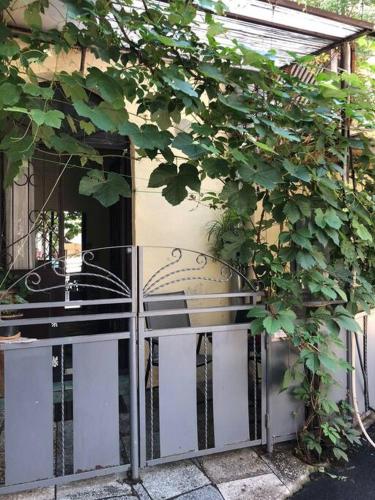 Nataly Apartament Old Tbilisi Center