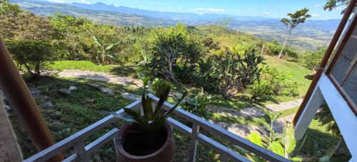 Casa Santa Rosilla — Lamas — photo 3