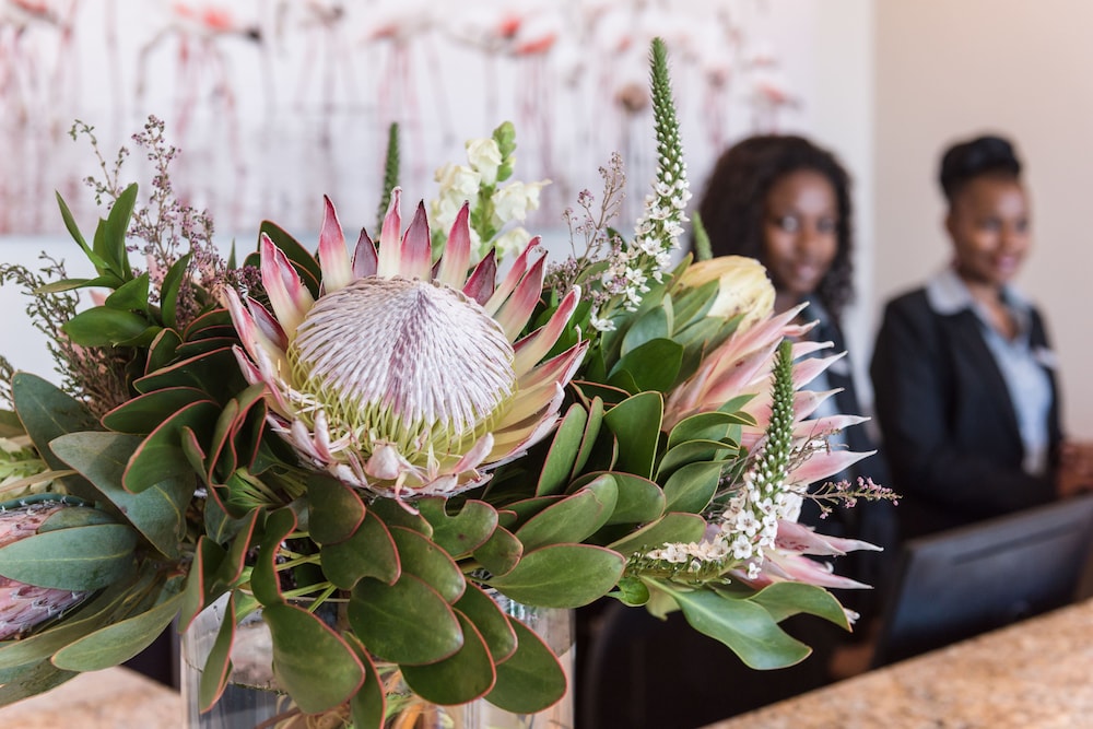 Flamingo Villa Boutique Hotel — Walvis Bay — photo 4