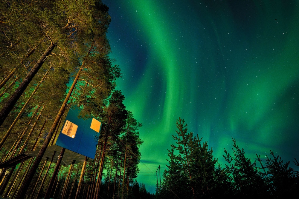 Treehotel — 4-Star Luxury Hotel in Boden, Sweden