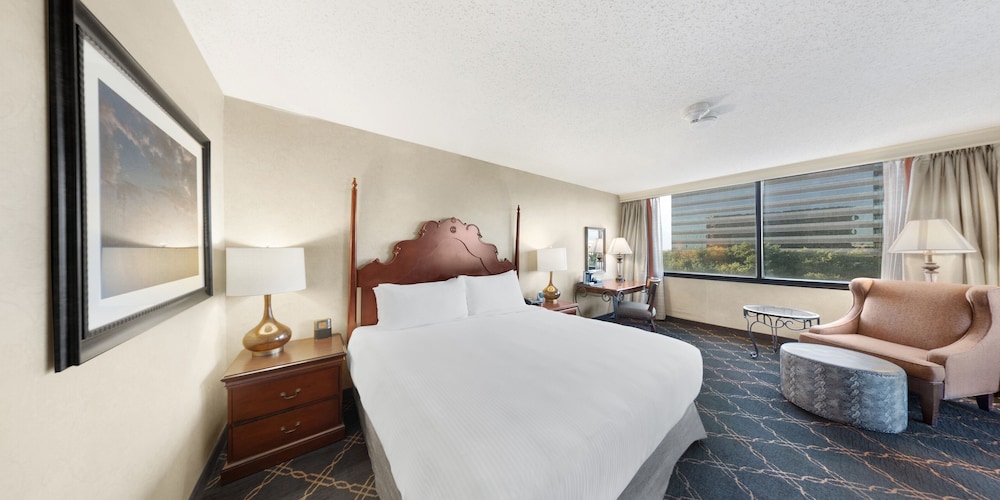Austin Southpark Hotel - photo 10