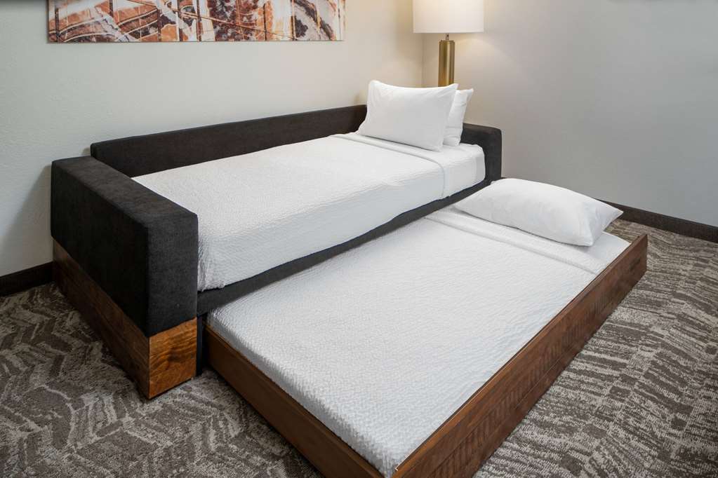 Sonesta Select Nashville Airport Suites - photo 12