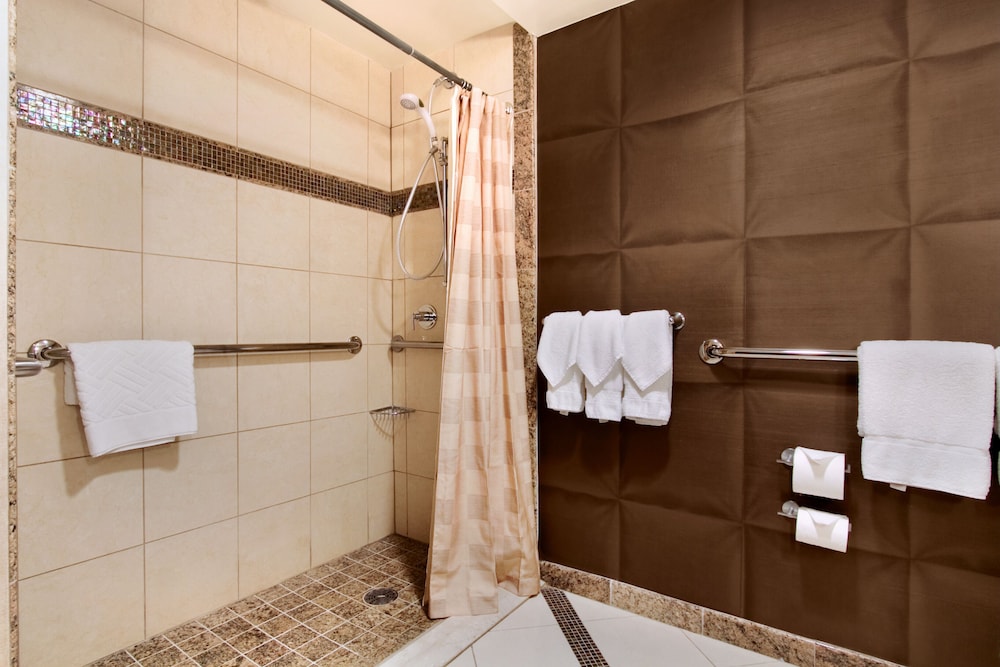 DoubleTree by Hilton Washington Dulles Airport - photo 22