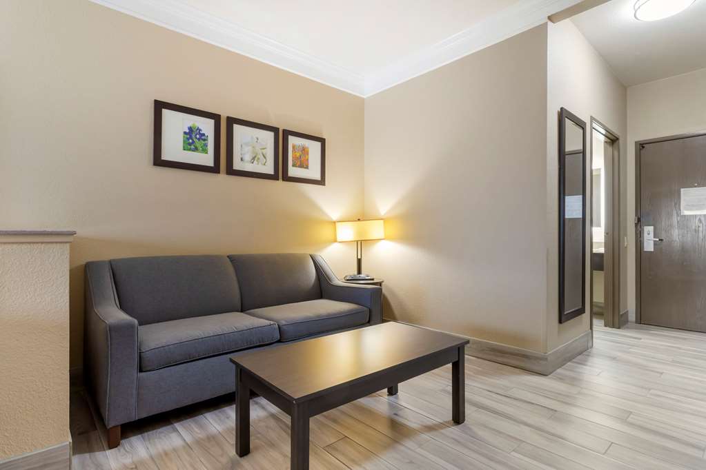 Comfort Suites Kingwood Houston North - photo 21