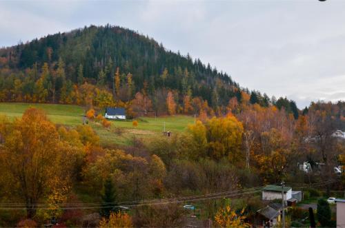 Z widokiem na Mniszek by LibertaRent — Boguszow-Gorce — photo 4