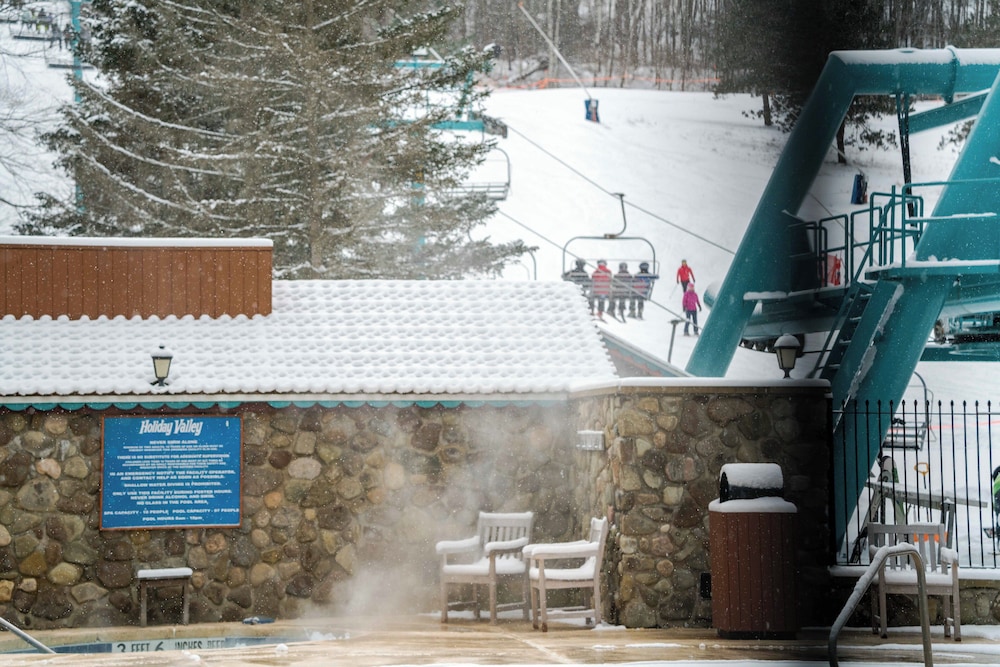 The Inn At Holiday Valley - photo 19