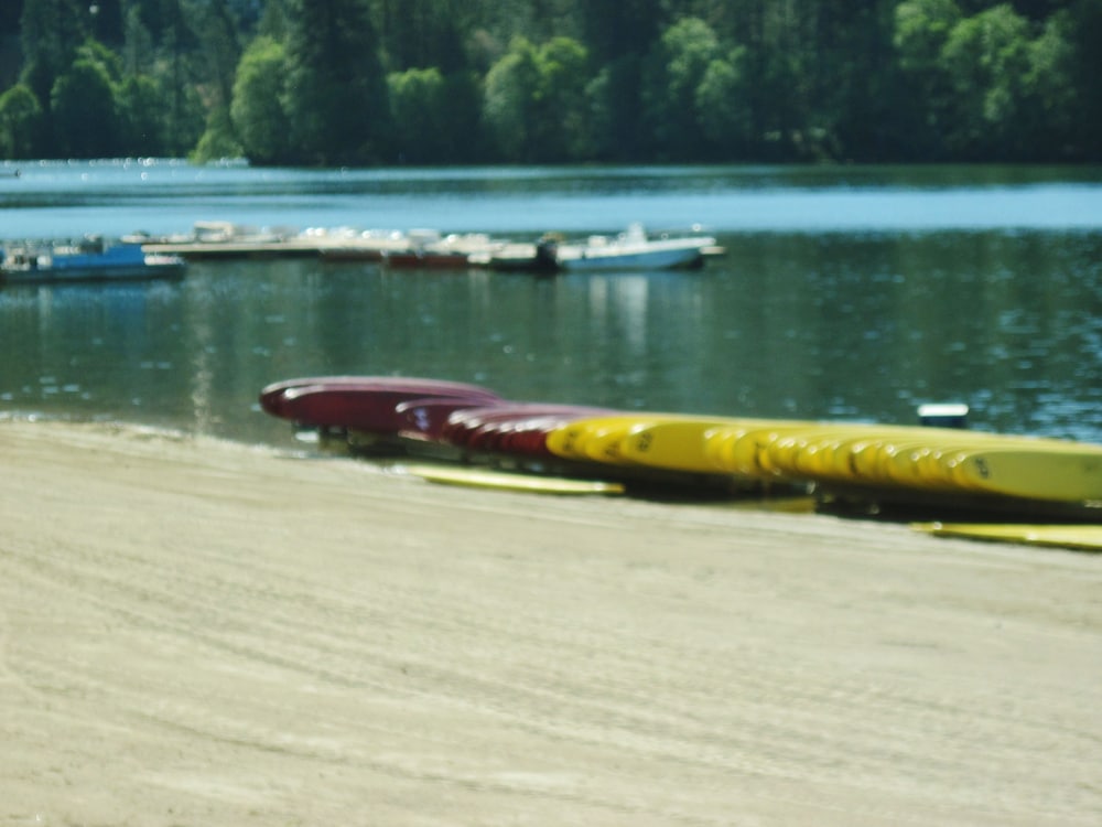 The North Shore Inn - photo 93