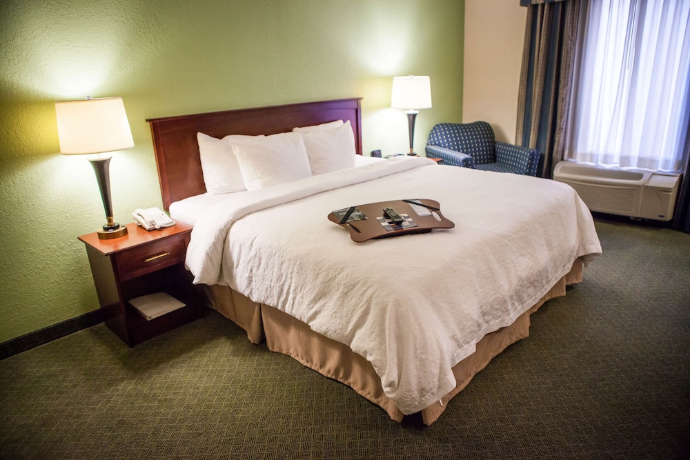 Hampton Inn & Suites Springfield Southwest - photo 9