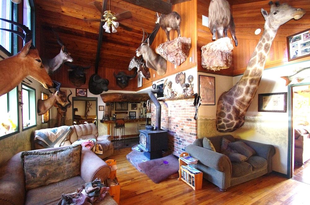 Whitebird Summit Lodge - photo 29