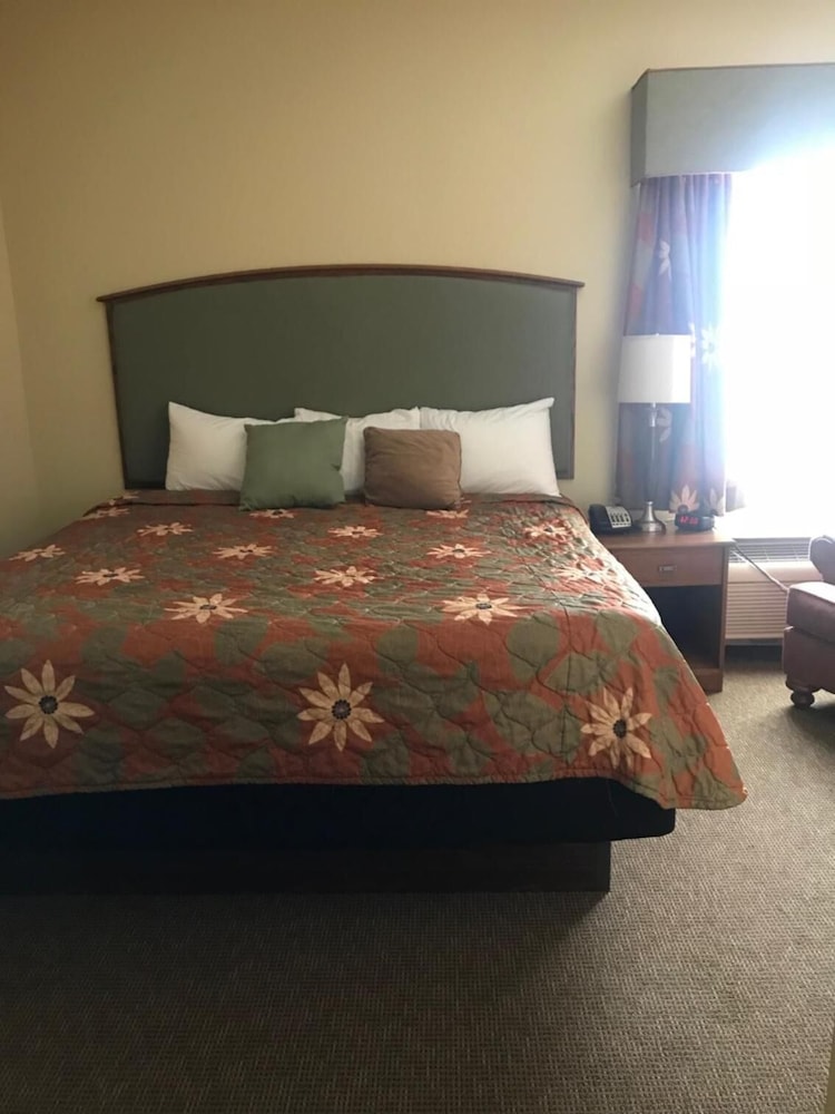 Randolph Inn and Suites - photo 12
