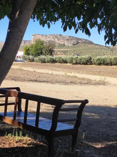 Alojamiento Rural Huerta Mandre pet-friendly hotel Cuevas Del Becerro