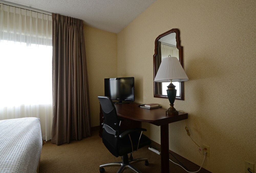 English Inn Of Charlottesville - photo 10