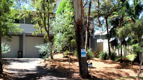 ‘lillipillies On Dolphin’ in Hawks Nest, Australia