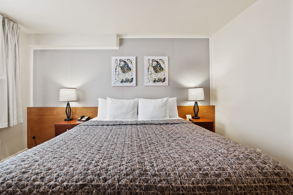 Brookhurst Plaza Inn - photo 10