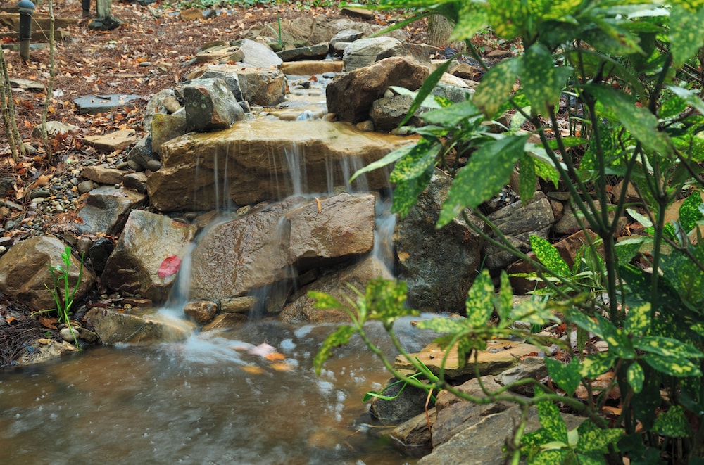 Laurel Valley Mountain Retreat - photo 220