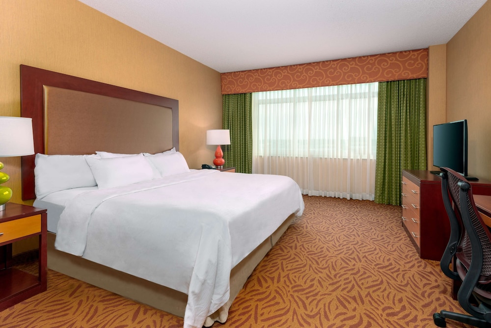 Embassy Suites Omaha La Vista Hotel & Conference Center - photo 18