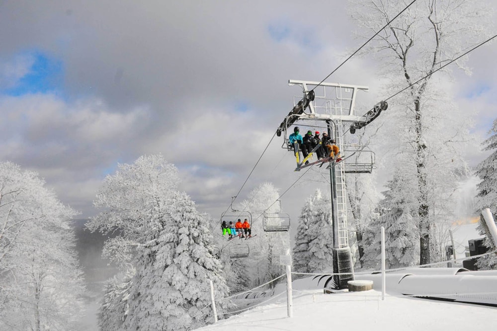 Swiss Mtn Condo 3 Mi to Seven Springs Resort - photo 29