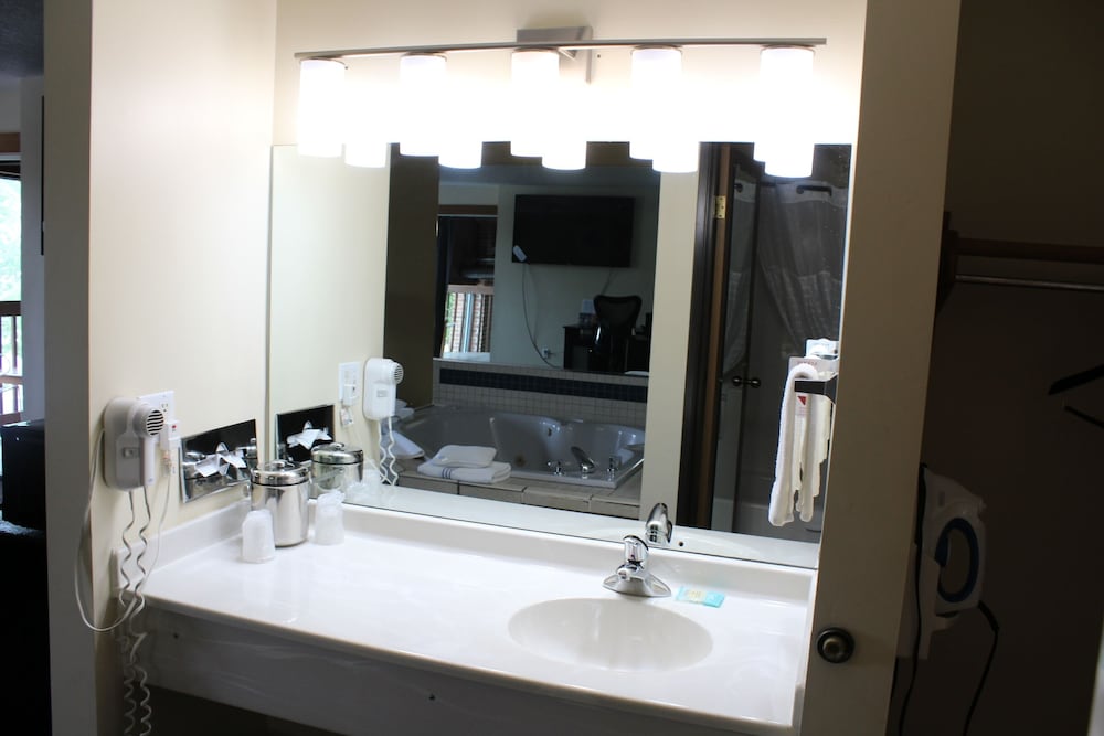 American Inn and Suites Ionia - photo 31