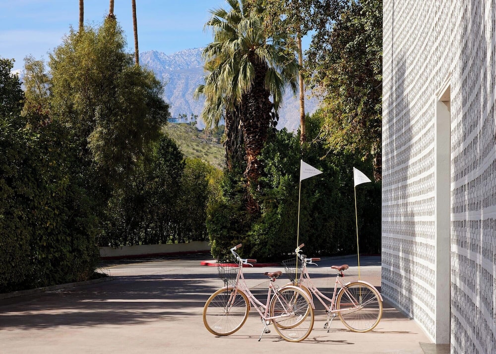 Parker Palm Springs - photo 43